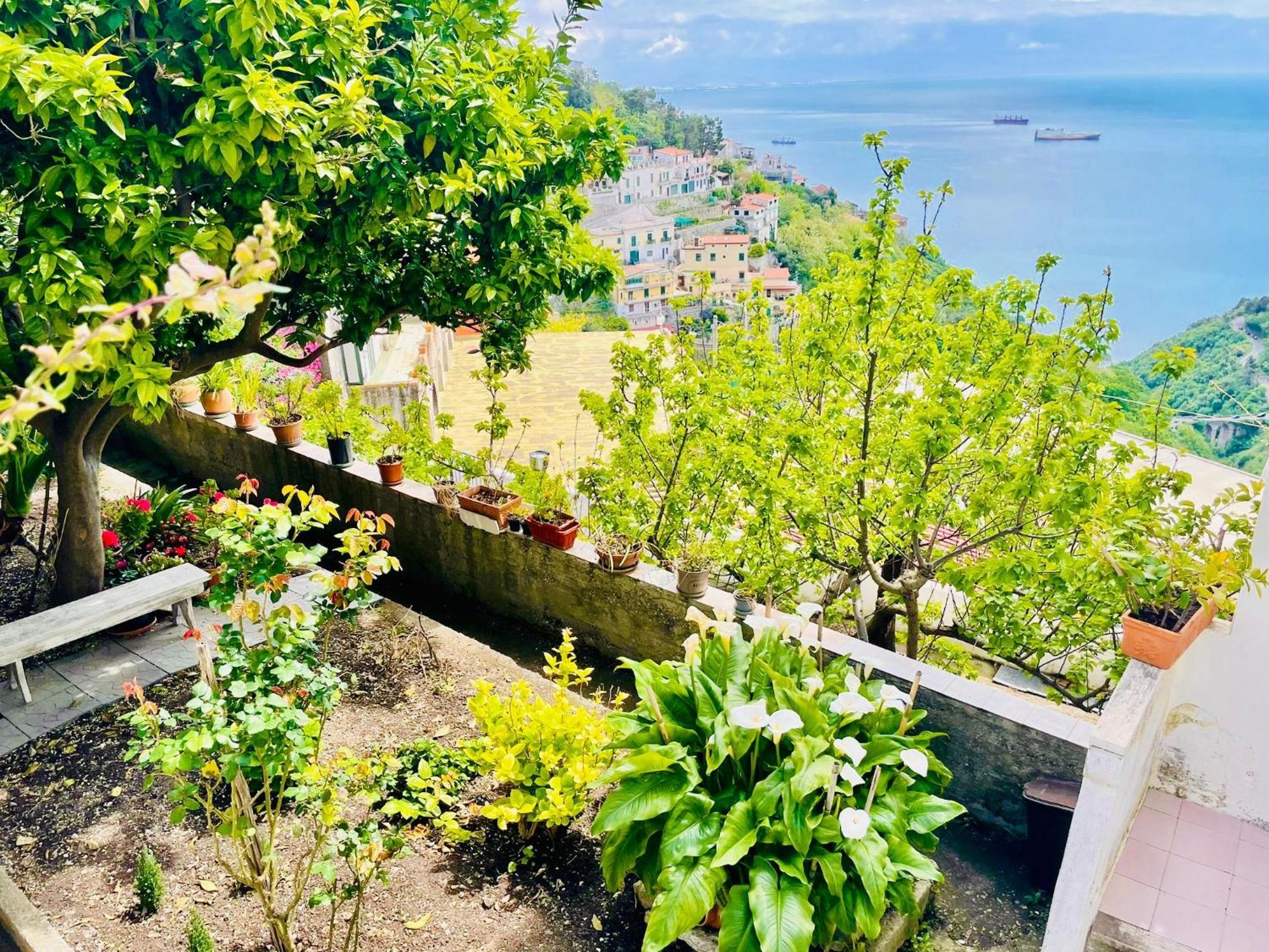 Borgo Virginia - Sea View In Amalfi Coast Lägenhet Vietri Exteriör bild